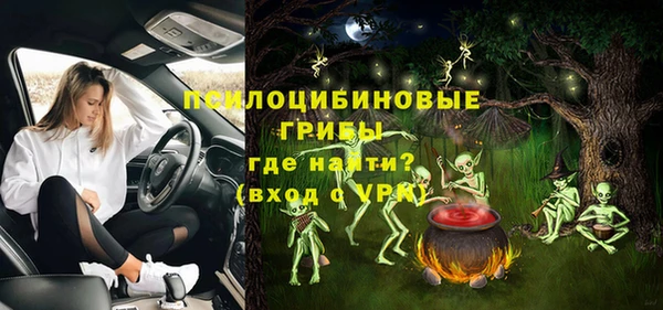 ешки Новодвинск