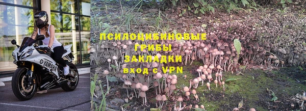 молекула духа Новокубанск