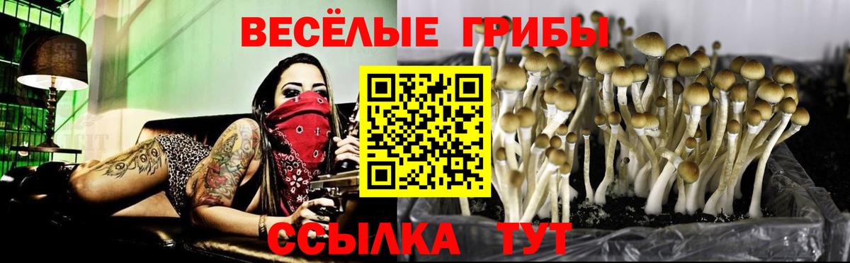 Псилоцибиновые грибы мухоморы  Галлюциногенные грибы мухоморы  Вход с VPN  Изобильный 