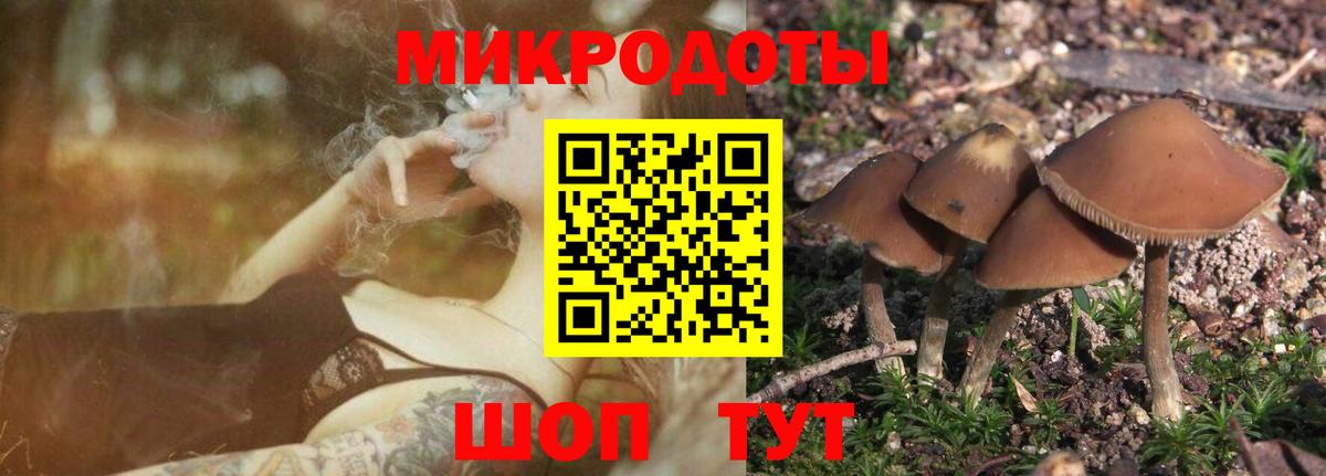 Галлюциногенные грибы Psilocybe Изобильный